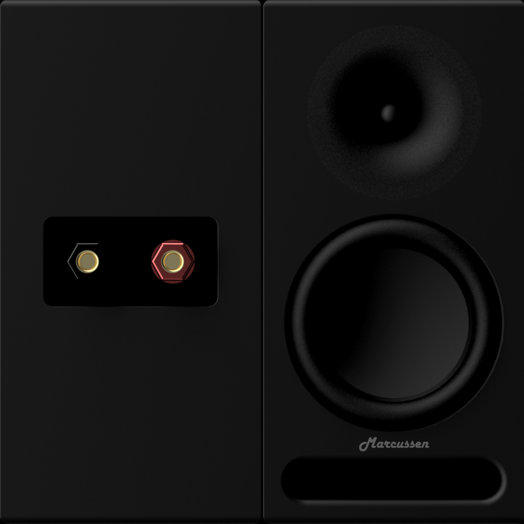 Custom Passive Speaker Design